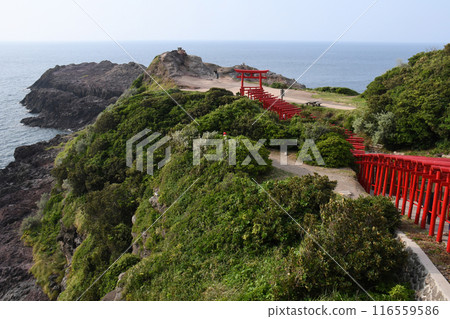 Torii在前Nogami神社 Torii在前Nogami神社 116559586