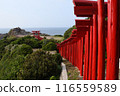 Torii在前Nogami神社 116559589