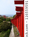 Torii在前Nogami神社 116559591