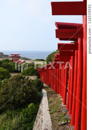 Torii在前Nogami神社 116559591