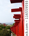 Torii在前Nogami神社 116559593