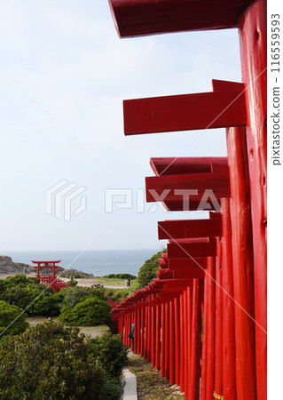 Torii在前Nogami神社 116559593