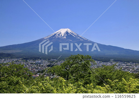 Mount Fuji from Arakurayama Sengen Park (Fujiyoshida City, Yamanashi Prefecture) Mount Fuji from Arakurayama Sengen Park (Fujiyoshida City, Yamanashi Prefecture) 116559625