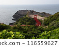 Torii在前Nogami神社 116559627