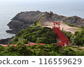 Torii在前Nogami神社 116559629