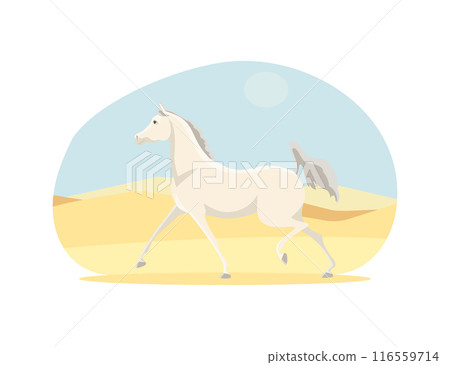 Beautiful arabian horse in the desert 116559714
