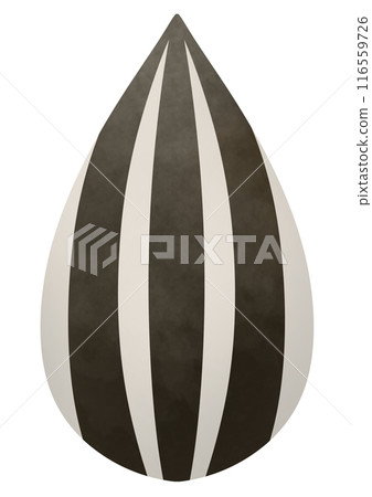 Big sunflower seed illustration Big sunflower seed illustration 116559726
