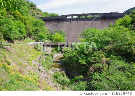 兵庫縣淡路島大二川水壩 兵庫縣淡路島大二川水壩 116559748