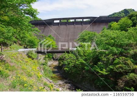 兵庫縣淡路島大二川水壩 兵庫縣淡路島大二川水壩 116559750