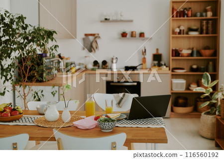 Modern spacious fully equipped kitchen with cozy dining zone 116560192