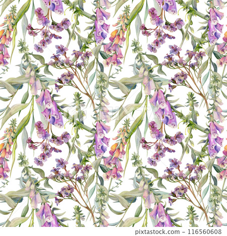 Hand drawn watercolor illustration boho botanical flowers leaves. Foxglove snapdragon lupin, willow eucalyptus, bergenia heliotrope. Seamless pattern isolated on white. Design wedding, gift paper Hand drawn watercolor illustration boho botanical flowers leaves. Foxglove snapdragon lupin, willow eucalyptus, bergenia heliotrope. Seamless pattern isolated on white. Design wedding, gift paper 116560608