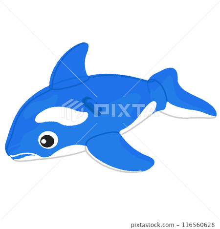 Dolphin swim ring illustration 116560628