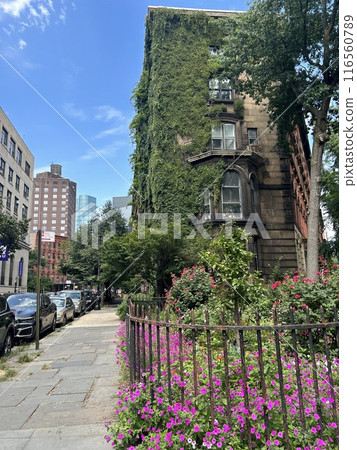 紐約植物覆蓋的建築 紐約植物覆蓋的建築 116560789