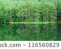 Shrine pond 116560829
