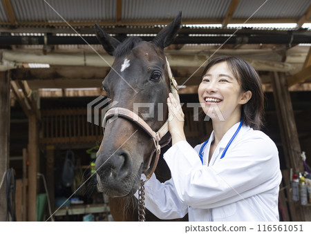 照顧一匹馬的女人 116561051