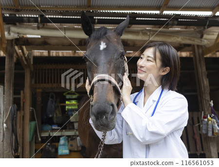 照顧一匹馬的女人 116561053