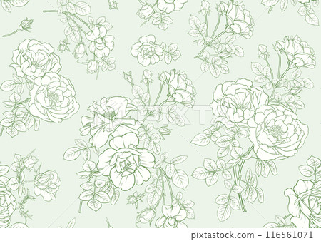 Rose flowers. Outline vector. Rose flowers. Outline vector. 116561071