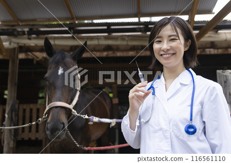 獸醫檢查馬 116561110