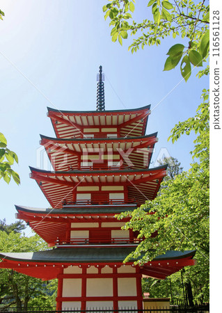Arakurayama Sengen Park and the Five-Story Pagoda (Fujiyoshida City, Yamanashi Prefecture) Arakurayama Sengen Park and the Five-Story Pagoda (Fujiyoshida City, Yamanashi Prefecture) 116561128