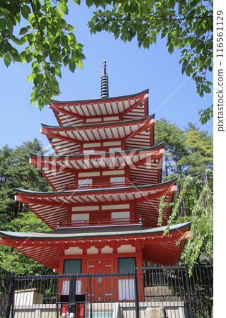 Arakurayama Sengen Park and the Five-Story Pagoda (Fujiyoshida City, Yamanashi Prefecture) Arakurayama Sengen Park and the Five-Story Pagoda (Fujiyoshida City, Yamanashi Prefecture) 116561129