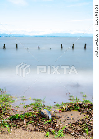夏季，琵琶湖岸邊被沖上岸的相對較大的貝殼的長曝光照片。 116561252