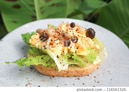 bread with egg ,lettuce and mushroom topping bread with egg ,lettuce and mushroom topping 116561326