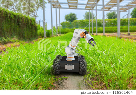 Agriculture technology with robot assistant on field Agriculture technology with robot assistant on field 116561404