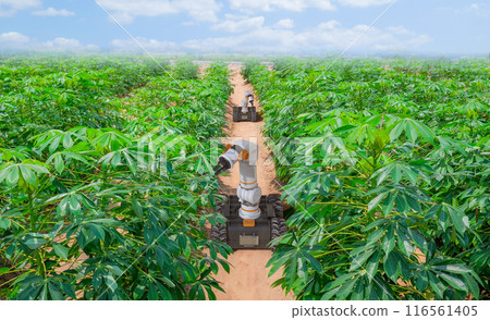 Agriculture technology with robot assistant on farmland Agriculture technology with robot assistant on farmland 116561405