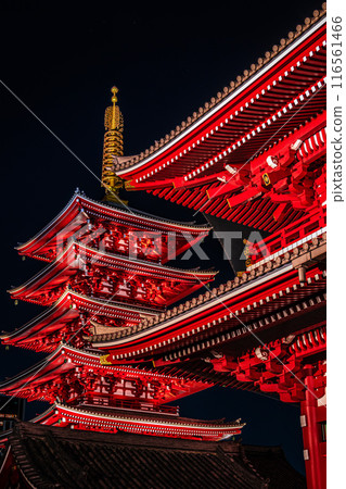 Lighted up five-storied pagoda 116561466