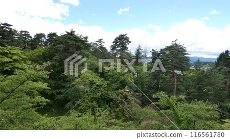 Green mountain peaks in southern Aomori Prefecture in summer 116561780