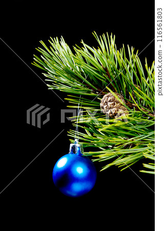 toy cristmas toy cristmas 116561803