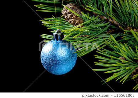 toy cristmas toy cristmas 116561805