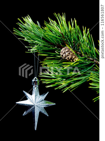 silver star silver star 116561807