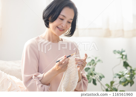 Female knitting 116561960