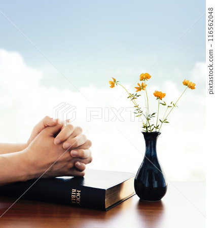 Christian meditating, praying and worshiping with both hands together, flowers and holy Bible background Christian meditating, praying and worshiping with both hands together, flowers and holy Bible background 116562048
