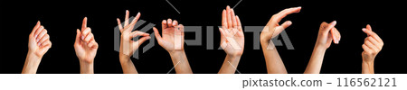 Set of woman hands showing different gestures, pointing and showing signs Set of woman hands showing different gestures, pointing and showing signs 116562121