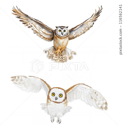 Analog touch, hand-drawn style owl, flapping wings, flying eagle owl, barn owl illustration set 116562141