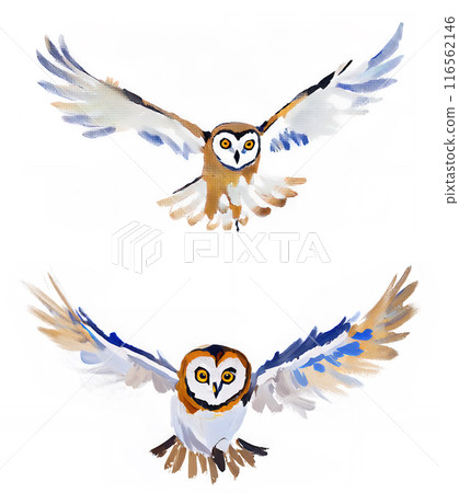 Analogue touch, hand-drawn style owl, flapping wings, flying barn owl illustration set AI-generated images 116562146