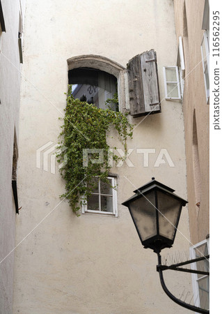 two pigeons on a window two pigeons on a window 116562295
