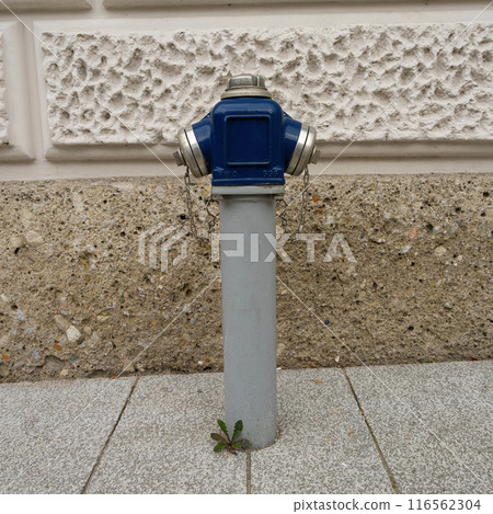 a fire hydrant on the sidewalk a fire hydrant on the sidewalk 116562304