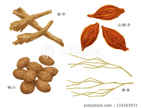 Chinese herbal medicine, 4 types of herbs (Scutellaria, Gardenia fructus, Peach kernel, Ephedra) 116563072