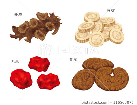 中草藥、4種生藥（正馬、黃耆、大棗、靈芝） 116563075