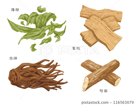 中草藥、4種生藥(白苦、葛根、土岐、芍藥) 中草藥、4種生藥(白苦、葛根、土岐、芍藥) 116563079