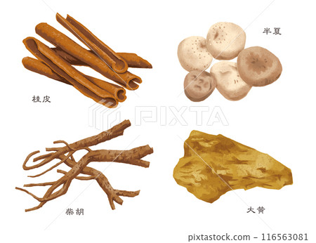 中草藥、4種生藥(肉桂、半夏、柴胡、大黃) 中草藥、4種生藥(肉桂、半夏、柴胡、大黃) 116563081