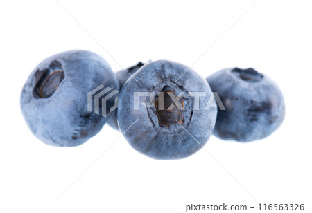 Fresh blueberry isolated on white background. Bilberry or whortleberry berries. Clipping path. Fresh blueberry isolated on white background. Bilberry or whortleberry berries. Clipping path. 116563326