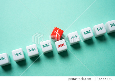 Scissors cut out a section of DNA. Genome editing concept. Innovative method of treating hereditary diseases. Creation of genetically modified organisms. Scissors cut out a section of DNA. Genome editing concept. Innovative method of treating hereditary diseases. Creation of genetically modified organisms. 116563470