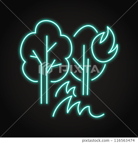 Forest fire neon line icon Forest fire neon line icon 116563474
