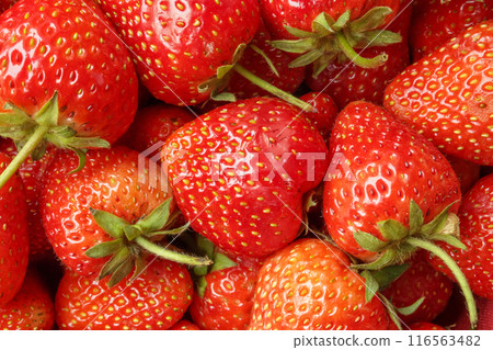 Fresh organic red strawberry fruit background Fresh organic red strawberry fruit background 116563482