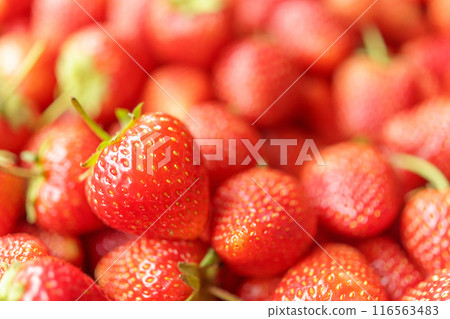 Fresh organic red strawberry fruit background Fresh organic red strawberry fruit background 116563483