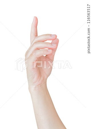 female hand touching or pointing to something isolated on white background 116563517